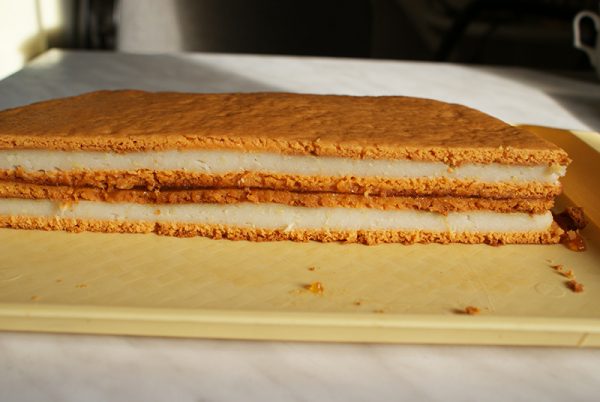 Prăjitura de post - foi cu bulion și cremă de griș